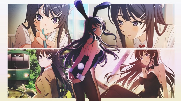 Sakurajima Mai from Seishun Buta Yarō wa Bunny Girl-senpai no Yume wo Minai