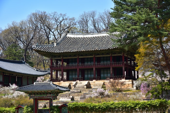 Korean architecture with traditional buildings and trees