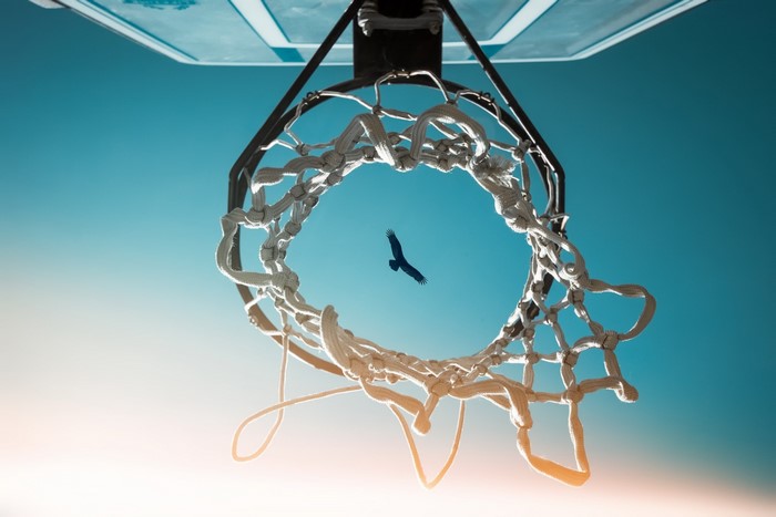 Bird flying through a basketball hoop against a clear sky