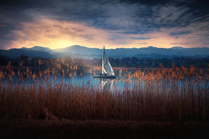 Sailboat on a lake at sunset with reeds in foreground