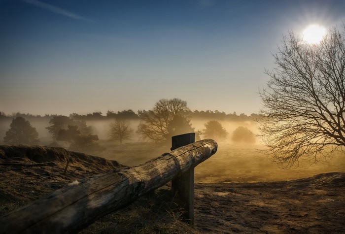Misty forest landscape with wooden fence and sun