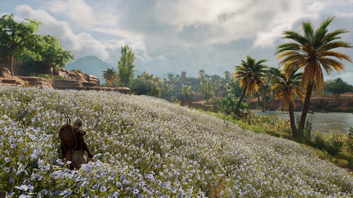 Bayek from Assassin's Creed Origins in a field of flowers