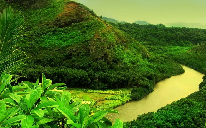 River winding through a lush green valley