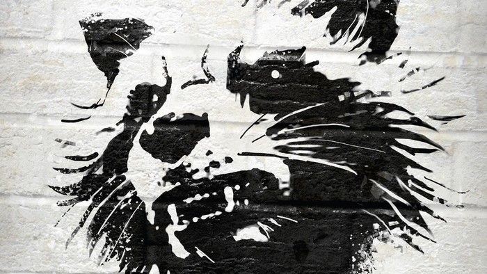Rocket Raccoon from Guardians of the Galaxy stencil art