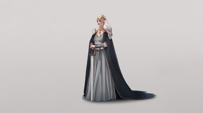 Fantasy girl with sword and falcon