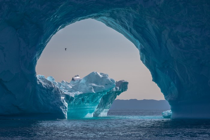 Iceberg arch with bird flying in Arctic sea