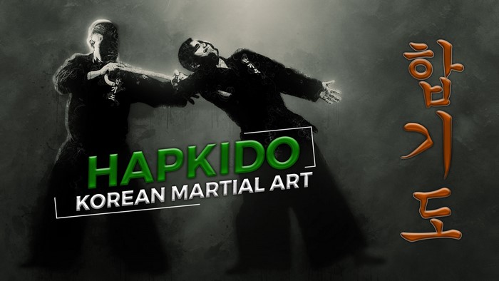 Hapkido Korean Martial Art Typography
