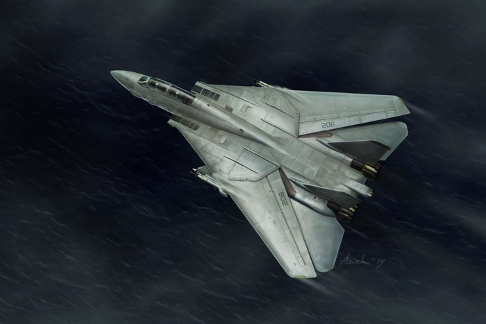 Grumman F-14 Tomcat military aircraft flying over water