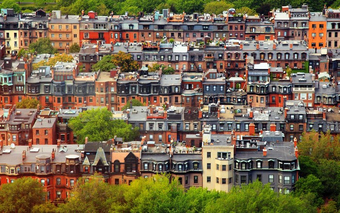 Boston Rooftops and Trees in Massachusetts