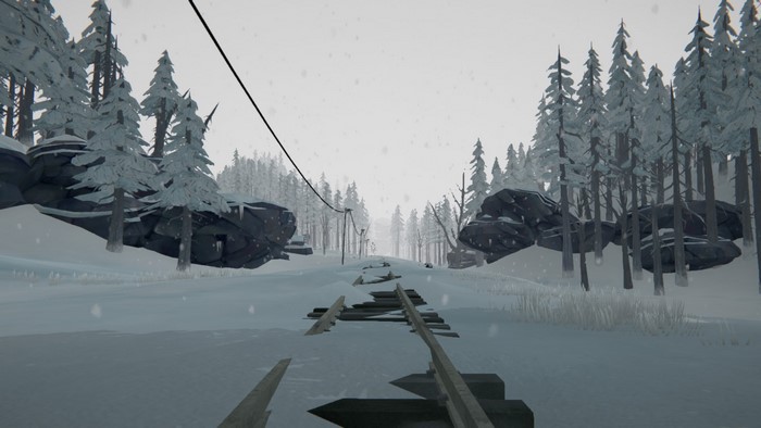 The Long Dark video game scene