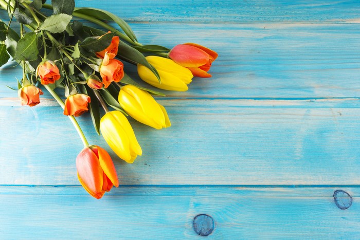 Orange roses and yellow tulips on a blue wooden surface