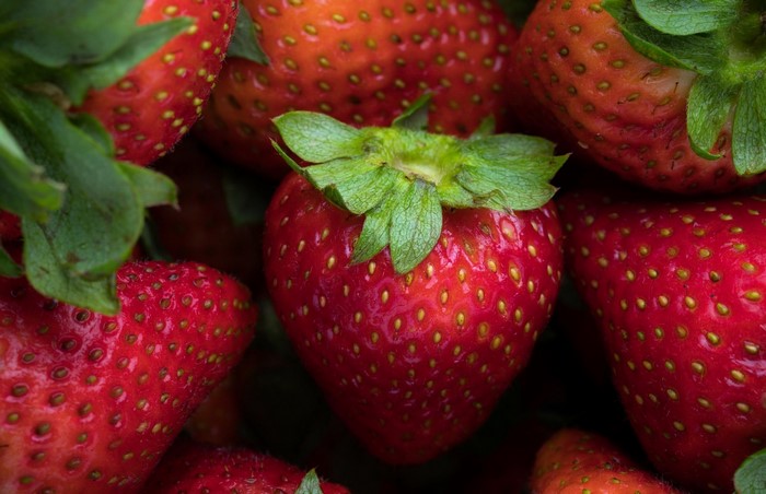 Close-up of fresh red strawberries