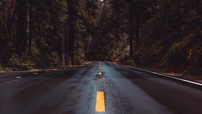 Wet road through a dark forest