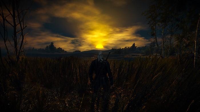 Geralt of Rivia from The Witcher 3: Wild Hunt