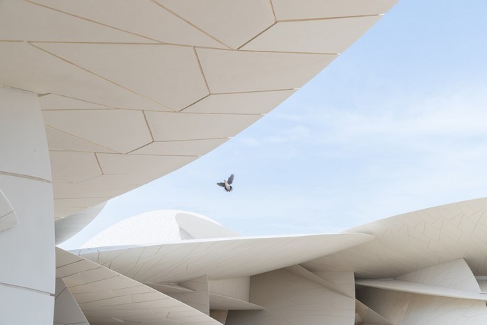 Bird flying near modern architecture in Qatar