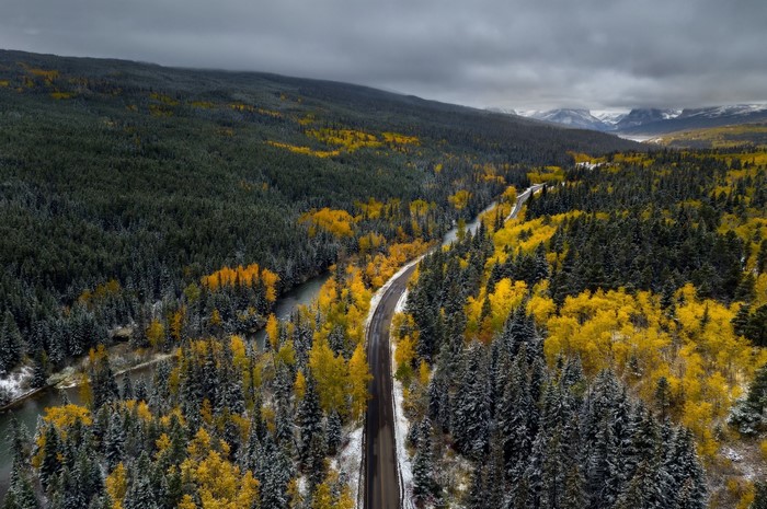 Aerial view of a winding road through a forest in winter