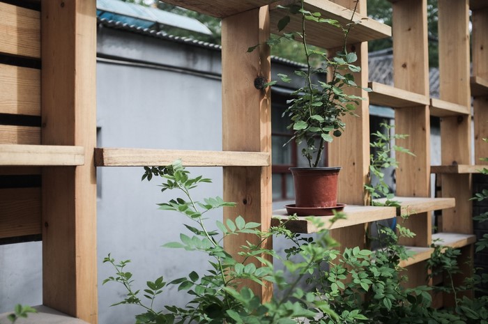 Wooden trellis with potted plants and building