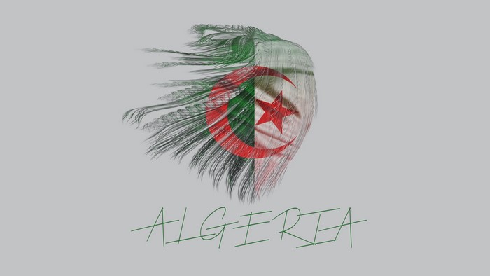 Algeria flag with text