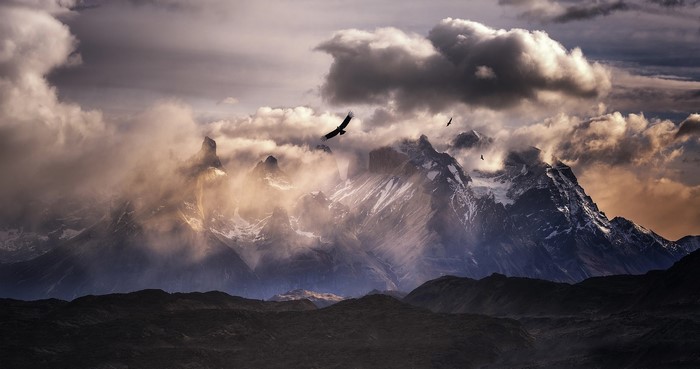 Birds flying over snowy mountains with clouds