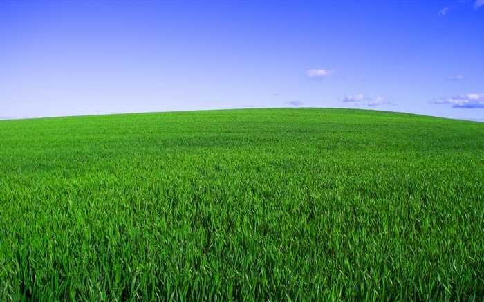 Green rolling hills under a blue sky