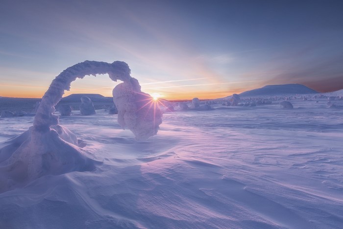 Winter landscape with snow-covered trees and sunset