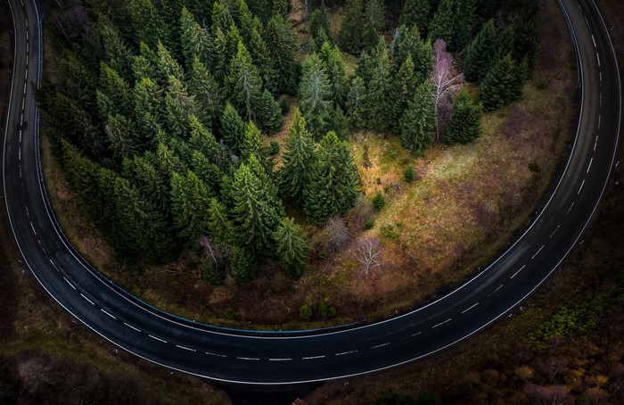 Aerial view of a winding road through a dense forest
