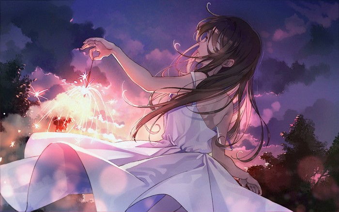 Anime girl with fireworks at sunset