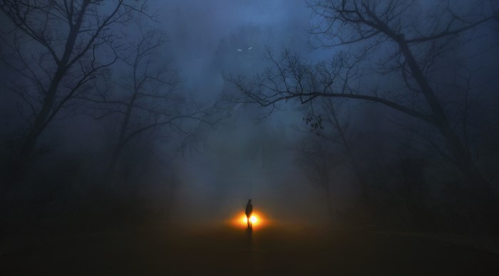 A lone figure stands in a foggy forest with a bright light.