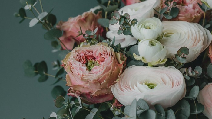 Pink and white ranunculus flowers with eucalyptus