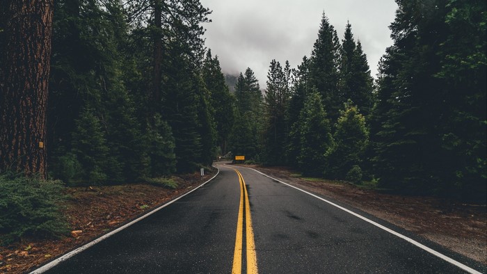 Winding road through a dark forest