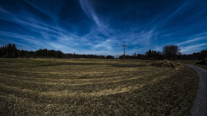4K landscape with power lines and trees