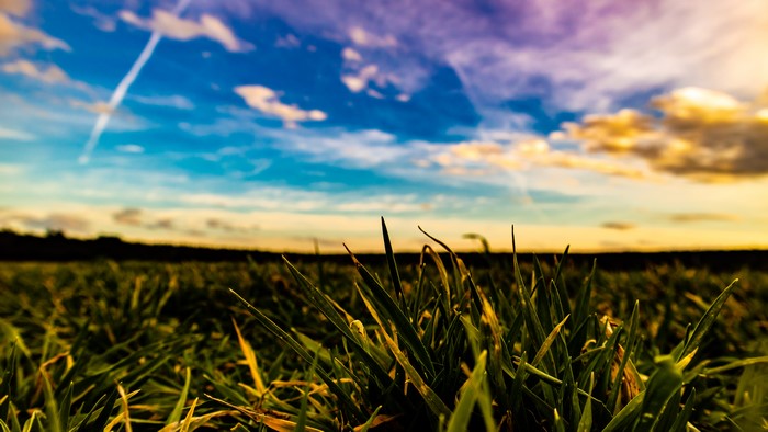 4K grass field with dramatic sky