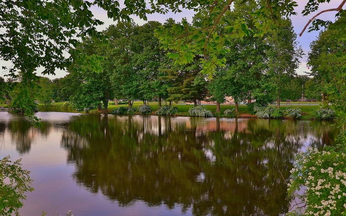 Trees reflected in a calm lake
