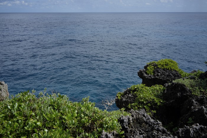 4K Jamaica Sea Nature