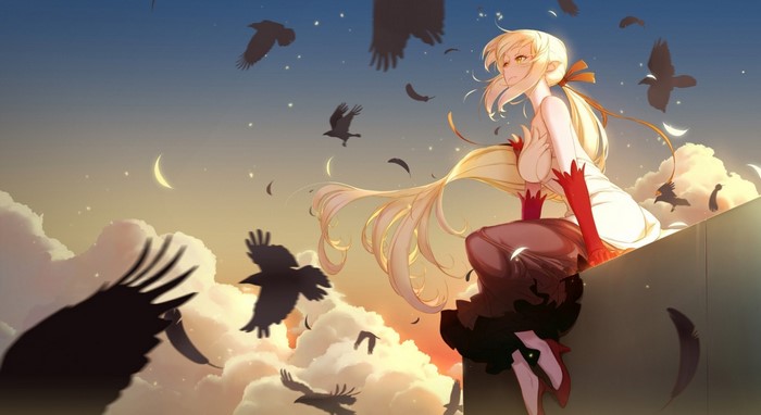 Oshino Shinobu from Monogatari Series sitting with crows