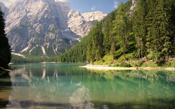 Lake and Mountains with Forest