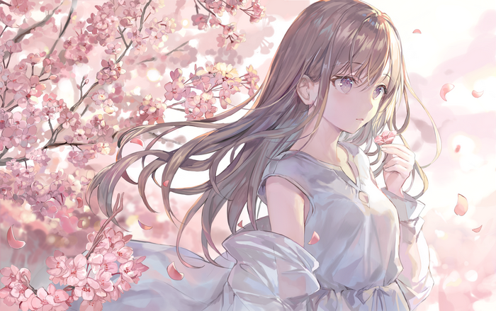 Momoko in White Dress Among Cherry Blossoms