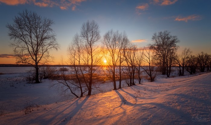 Winter sunset over a snowy landscape with bare trees