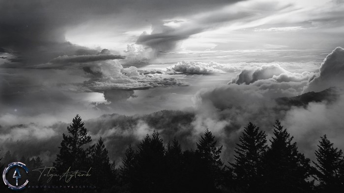 Monochrome landscape with storm clouds over trees