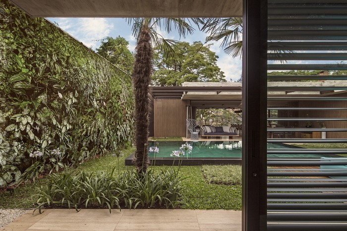 Modern house with swimming pool and vertical garden