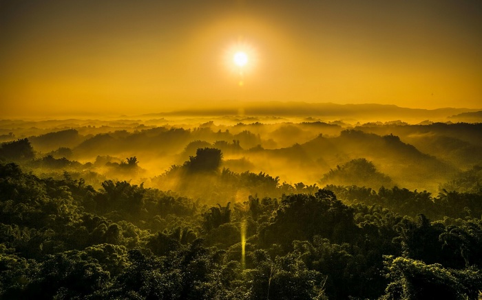 Sunrise over misty mountains and forests