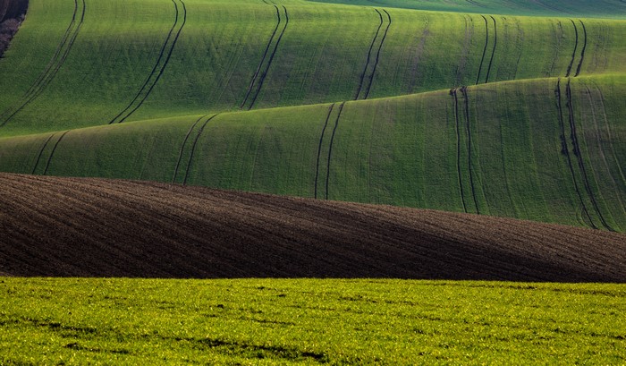 Rolling green hills with plowed fields