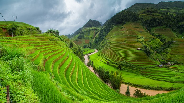 nature, trees, clouds, rice paddy, terraced field, Asia, valley, green ...