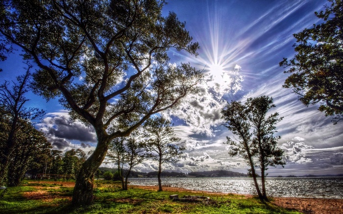 Sun shining through trees over a lake