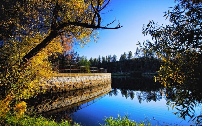 Autumn trees reflecting in a calm lake