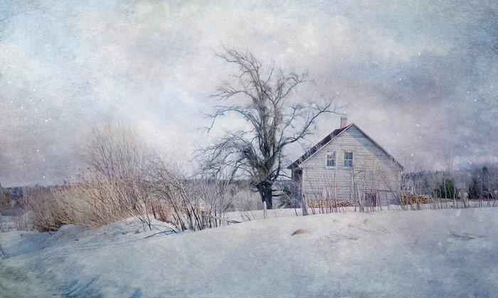 Winter scene with a house and bare trees