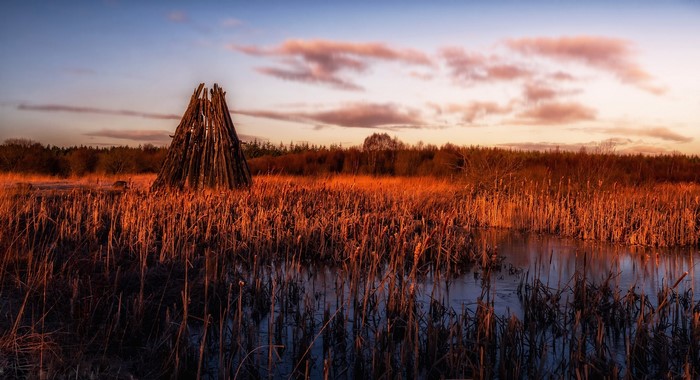 Wooden structure in reeds at sunset