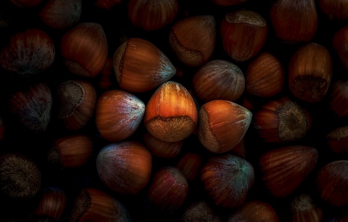 Macro shot of hazelnuts on a dark background