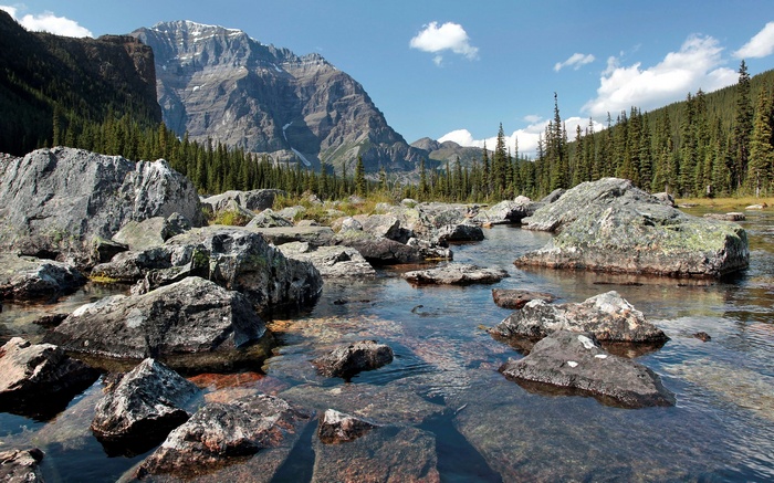 Rocky stream in front of a mountain and forest