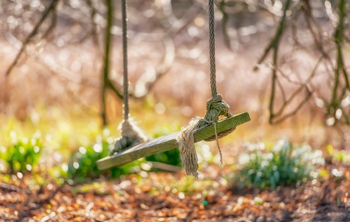 A wooden swing hangs from ropes in a forest